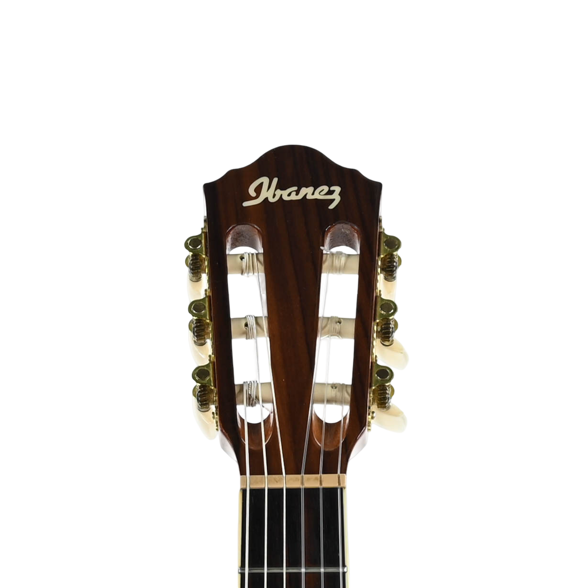 Ibanez AEG10N II-NT