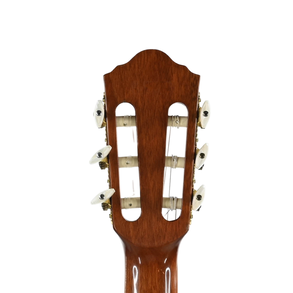 Ibanez AEG10N II-NT