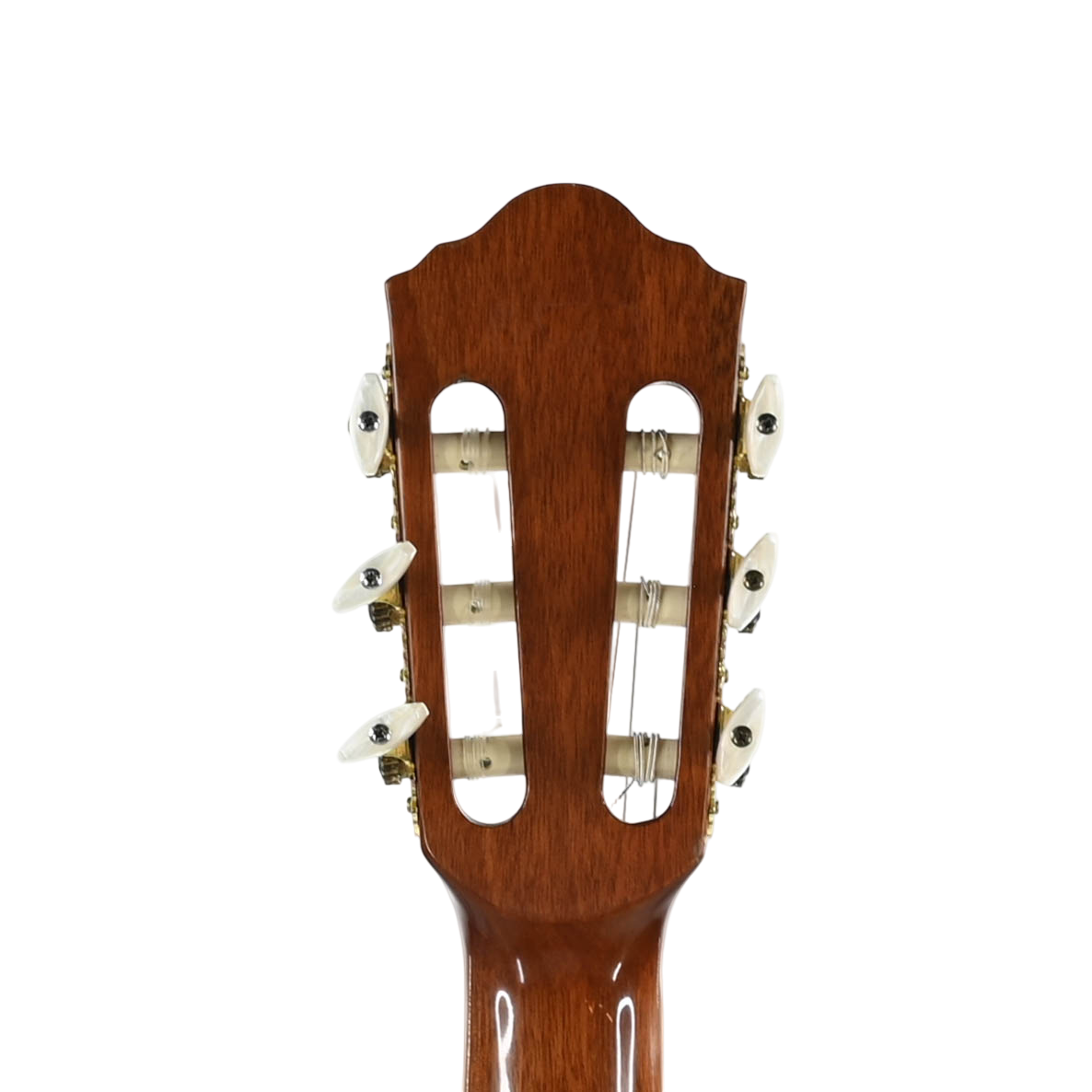 Ibanez AEG10N II-NT