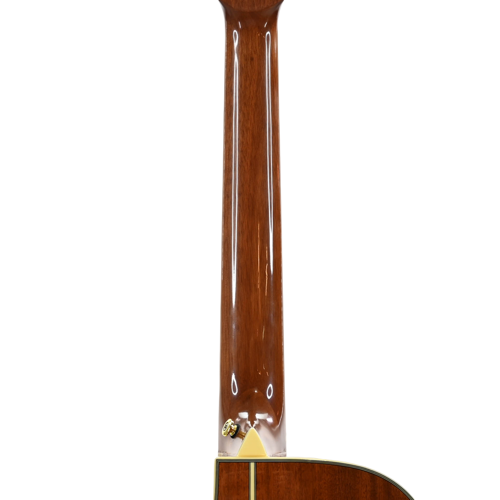 Ibanez AEG10N II-NT