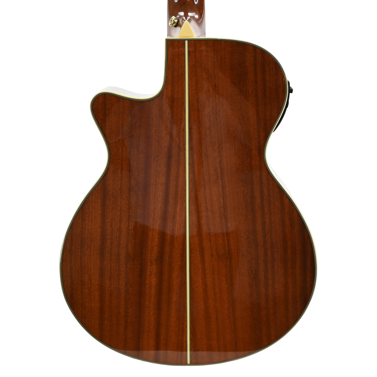 Ibanez AEG10N II-NT