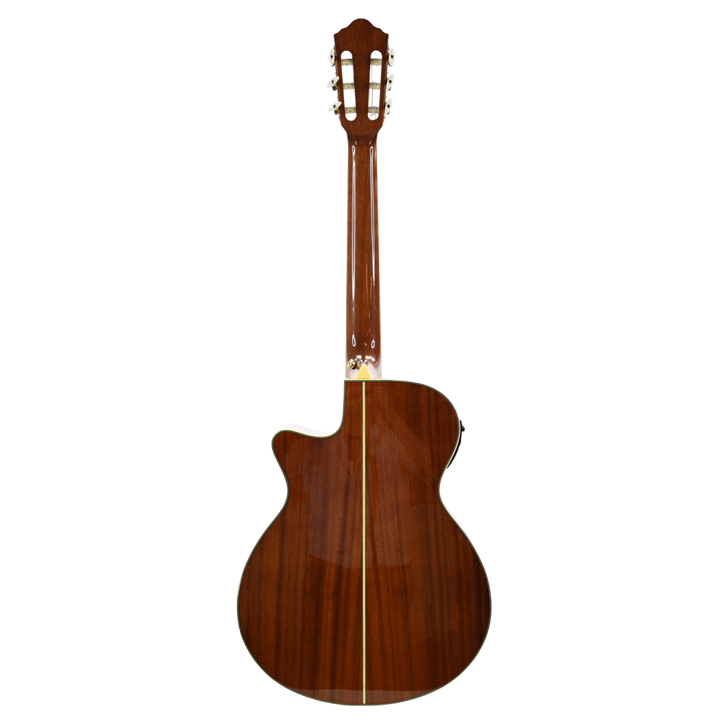 Ibanez AEG10N II-NT