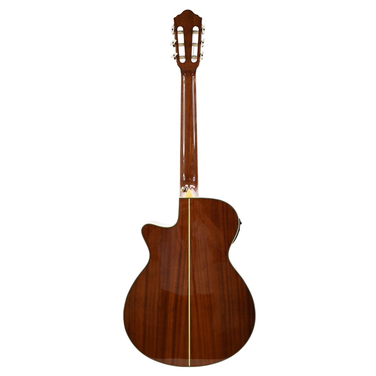 Ibanez AEG10N II-NT