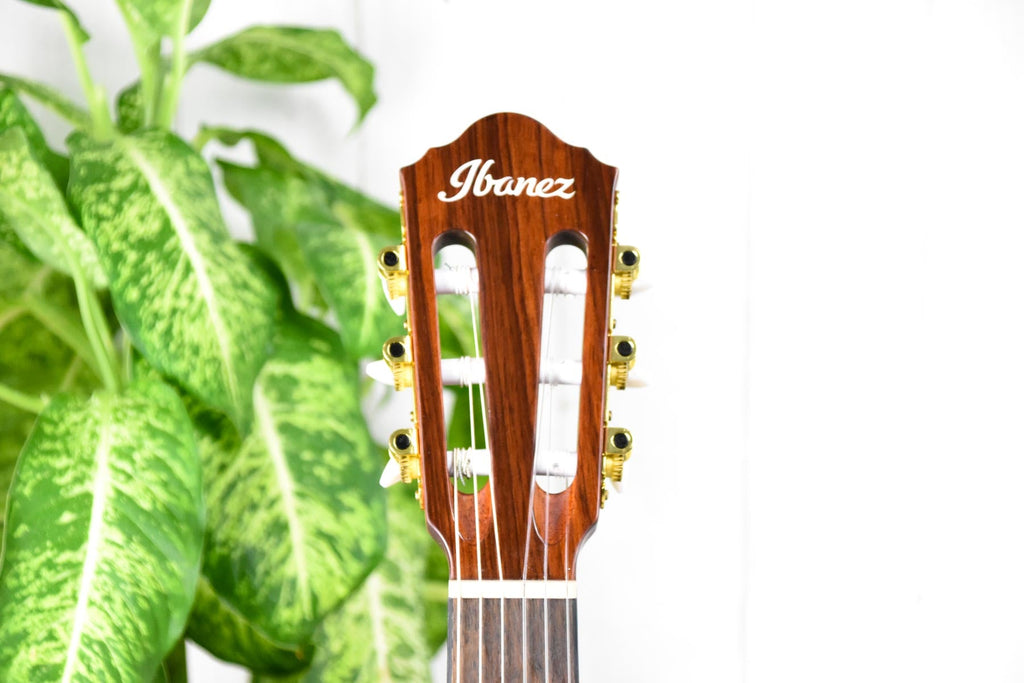 Ibanez AEG50NNT Semi-akoestische klassieke gitaar