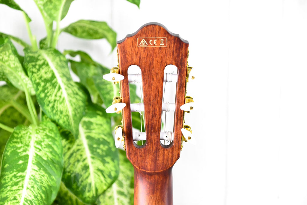 Ibanez AEG50NNT Semi-akoestische klassieke gitaar