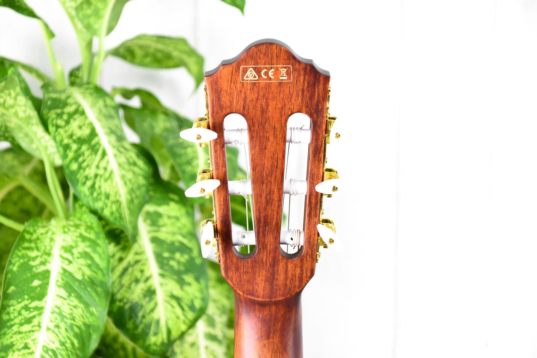 Ibanez AEG50NNT Semi-akoestische klassieke gitaar
