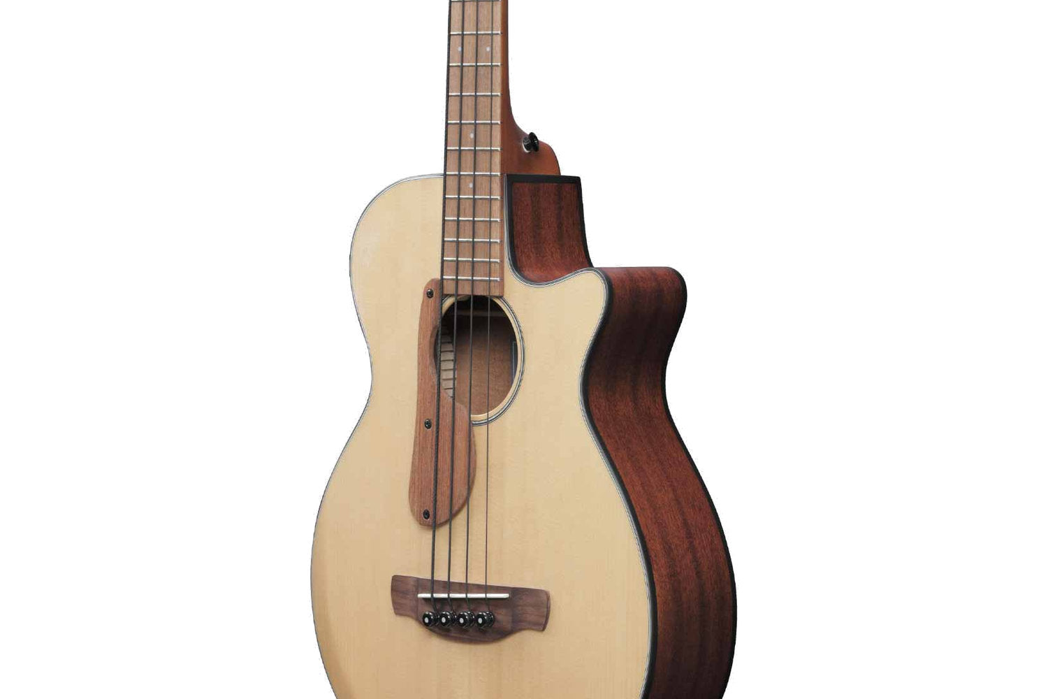 Ibanez AEGB30E NTG Akoestische Basgitaar