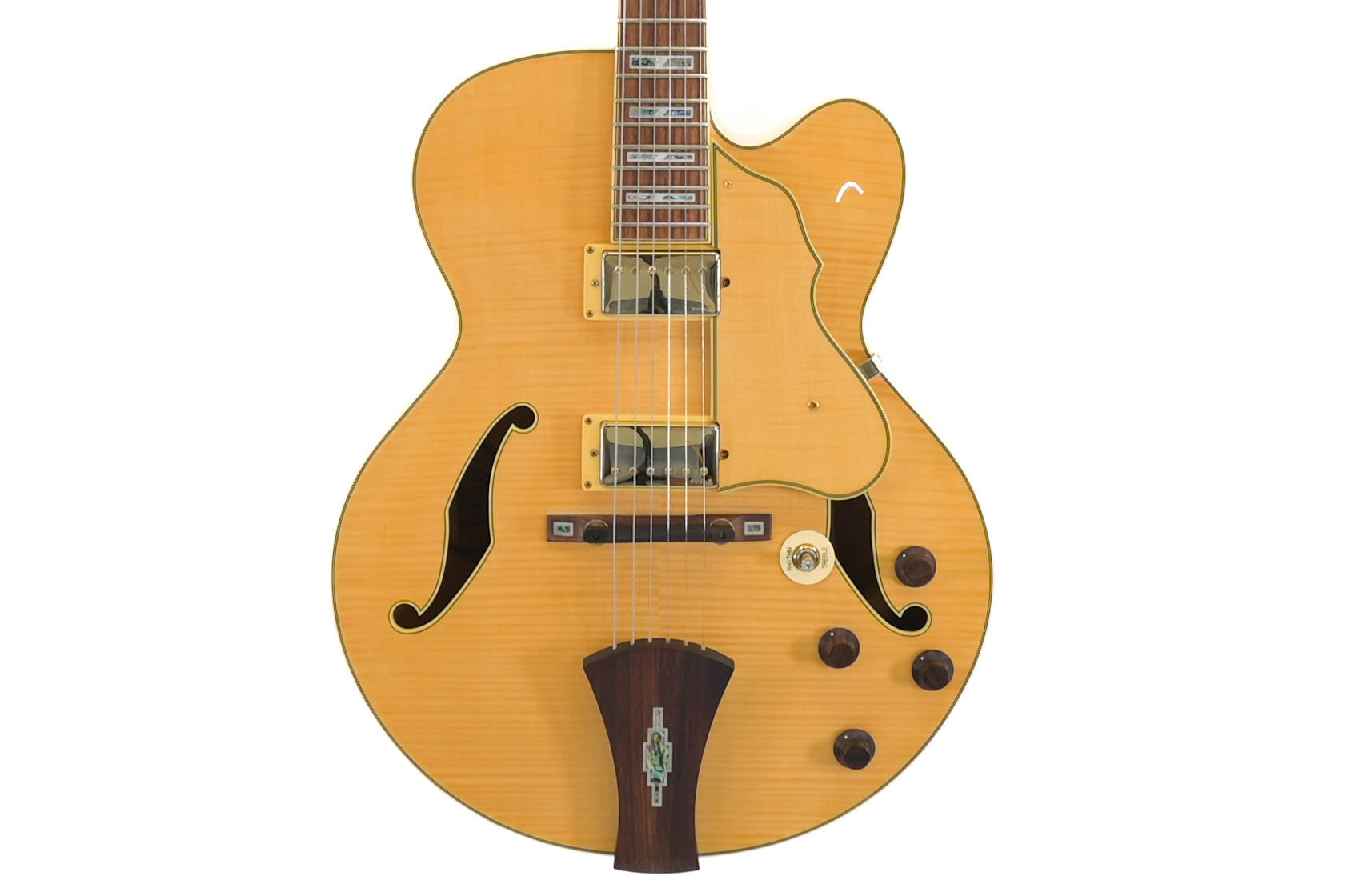 Ibanez AF105XT