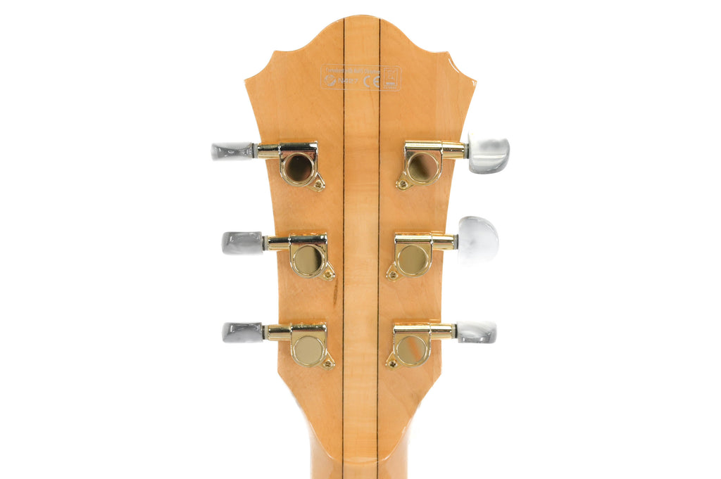Ibanez AF105XT