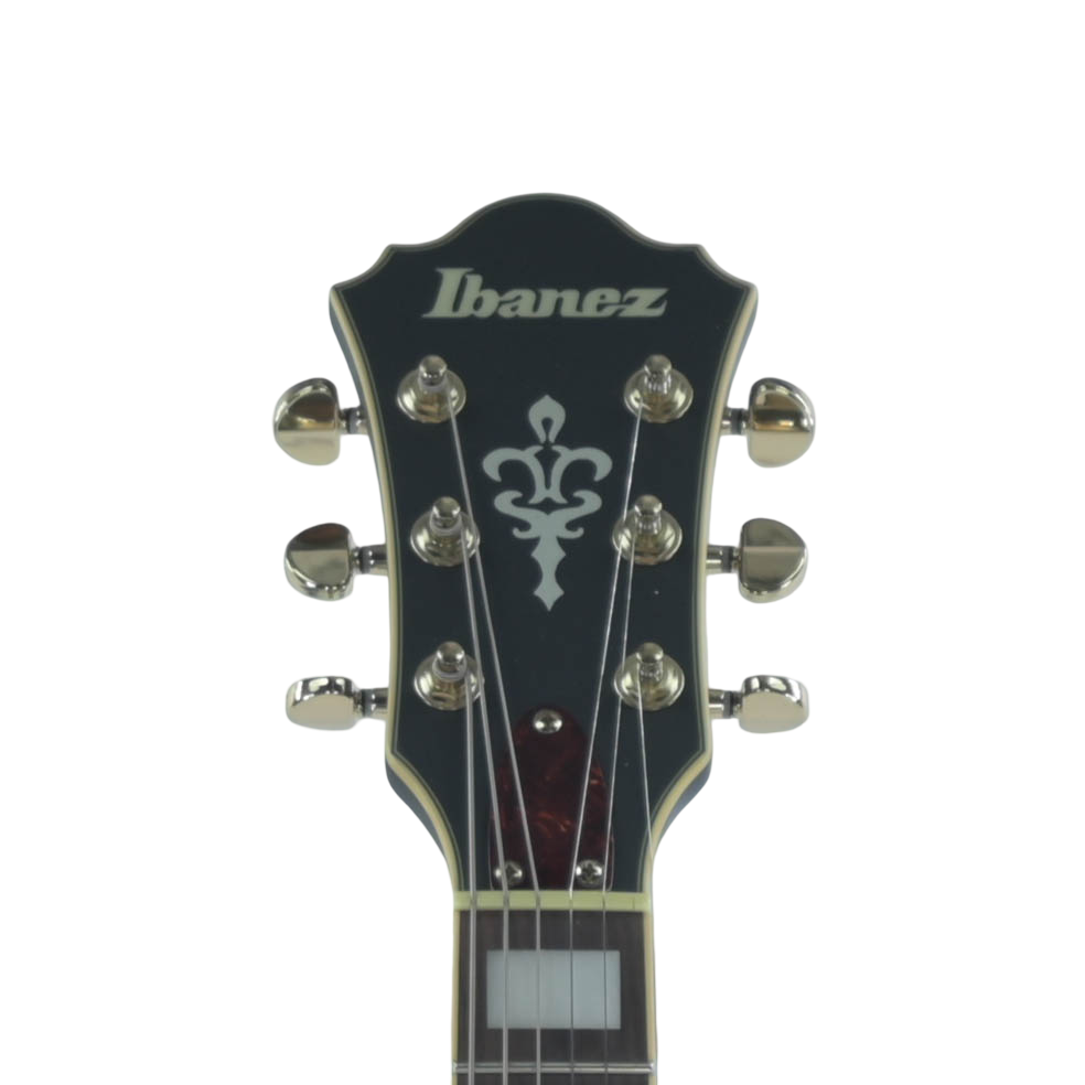 Ibanez AF75G-BKF Mat Zwart Pre-owned