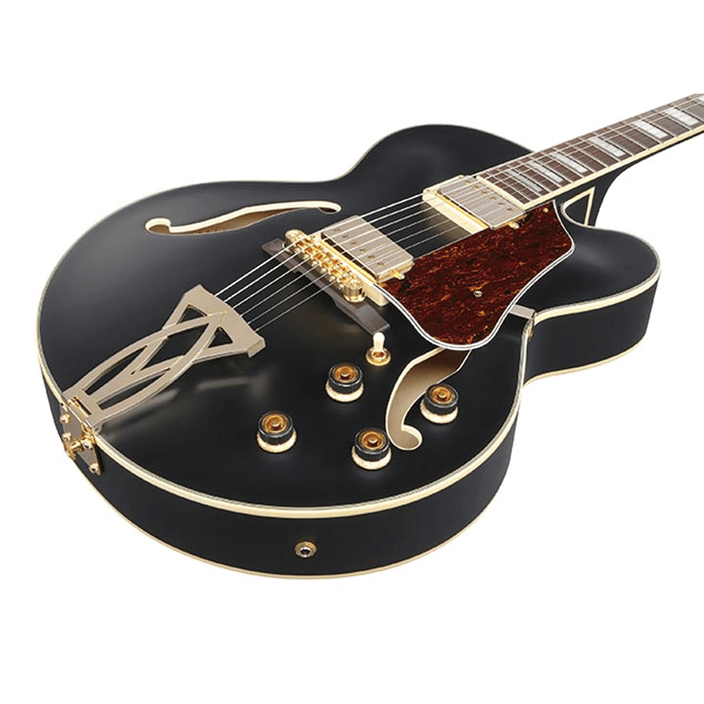 Ibanez AF75G Black Flat
