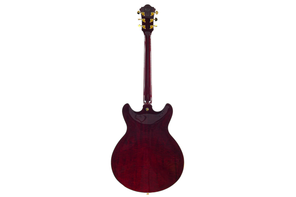 Ibanez EKM-100 WRD Eric Krasno 2014