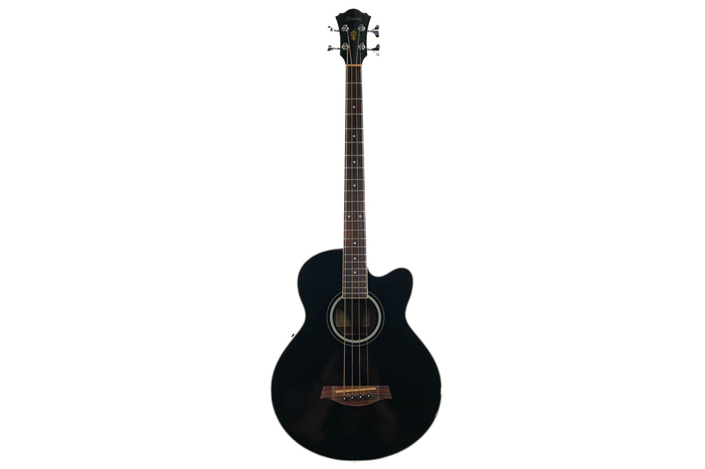Ibanez AEB8E-BK Akoestische basgitaar