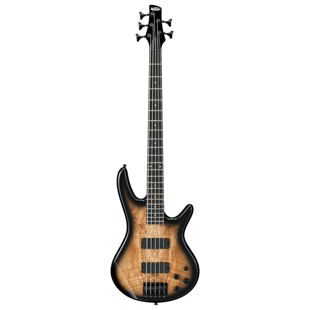 Ibanez GSR205SM Natural Gray Burst