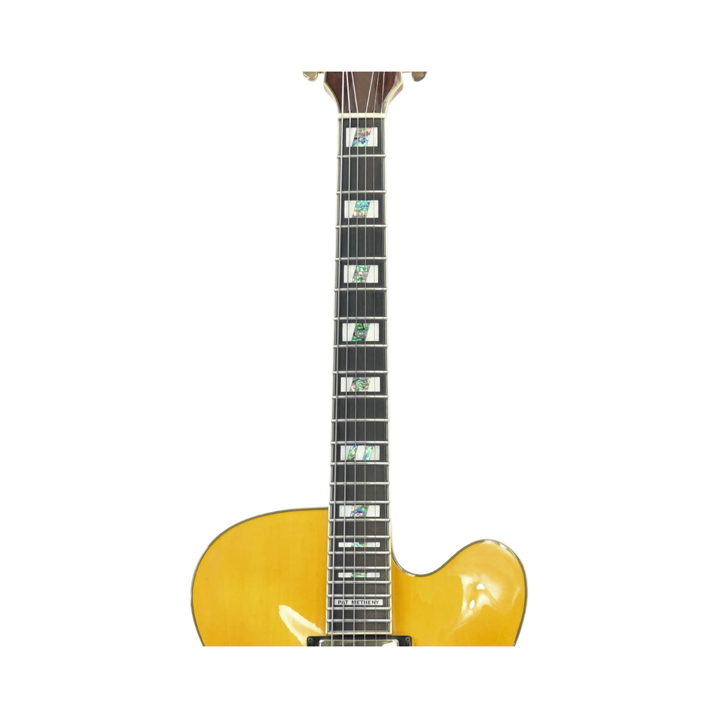 Ibanez PM2-AA Pat Metheny Signature