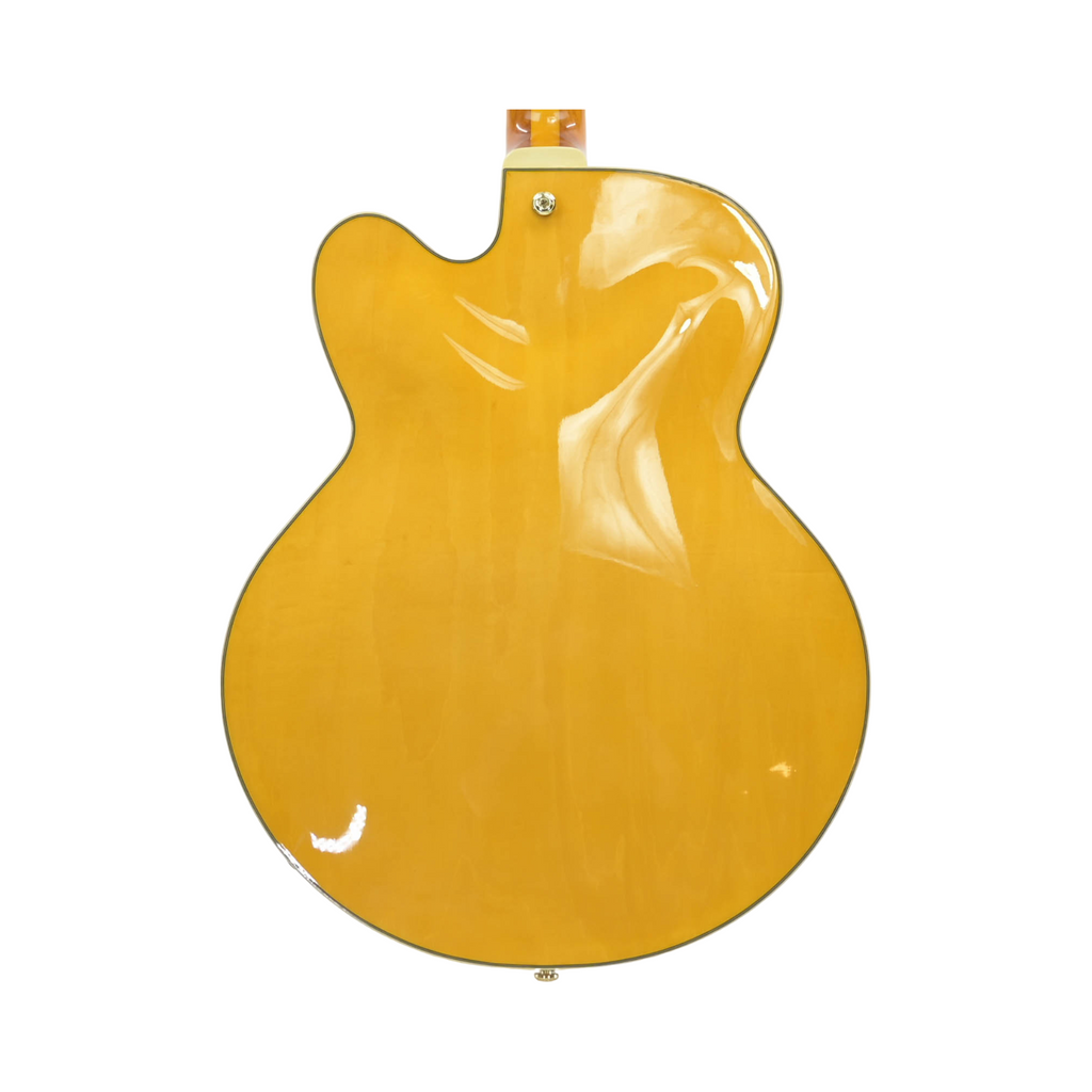 Ibanez PM2-AA Pat Metheny Signature