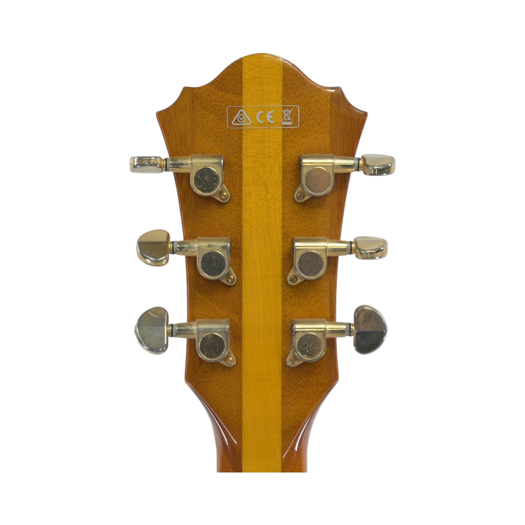Ibanez PM2-AA Pat Metheny Signature