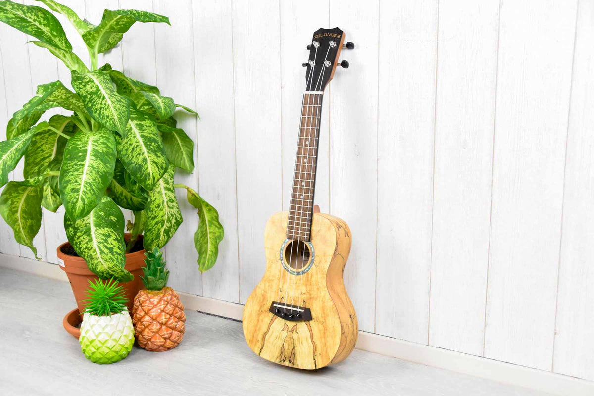 Islander MAC-4 Concert Ukulele Splated Maple