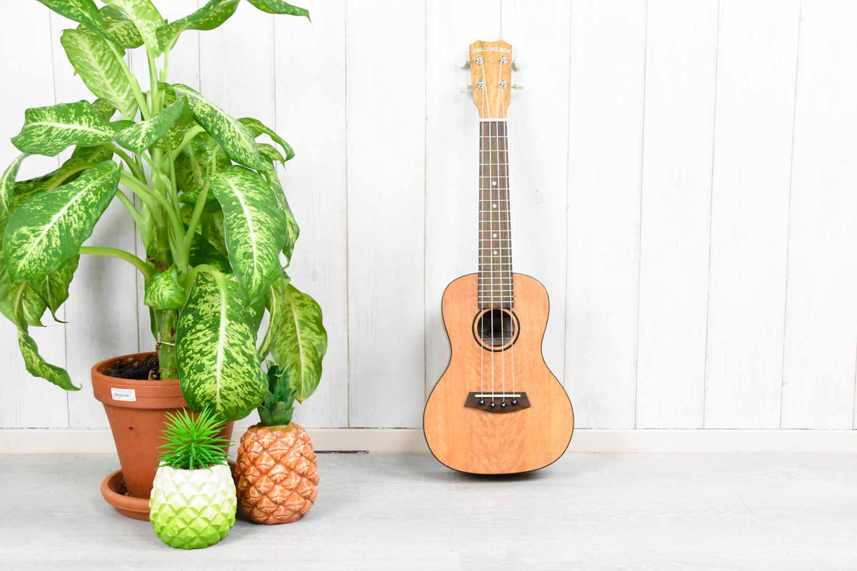 Islander MOC-4 Concert Ukulele Mango