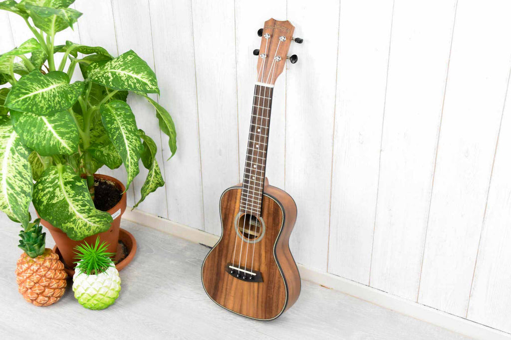 Islander SAC-4 Concert Ukulele Solid Acaica