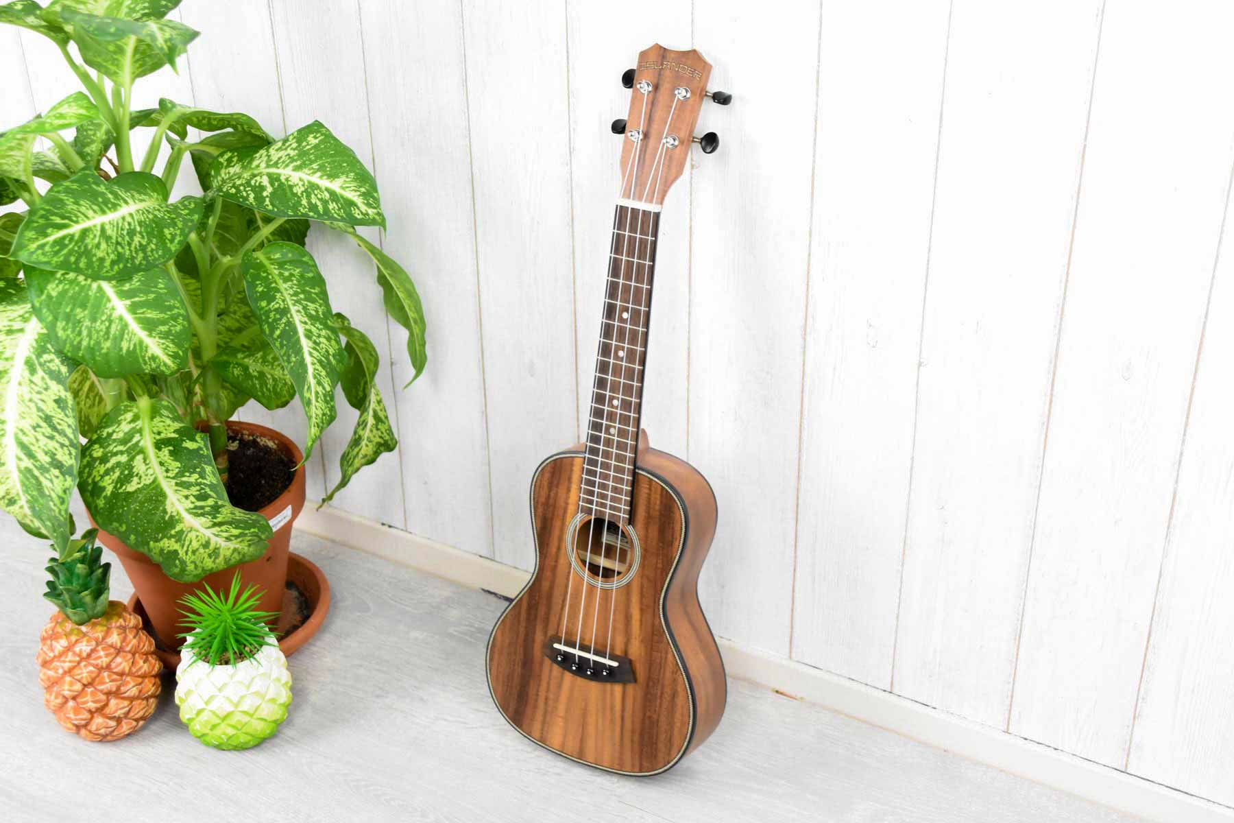 Islander SAC-4 Concert Ukulele Solid Acaica