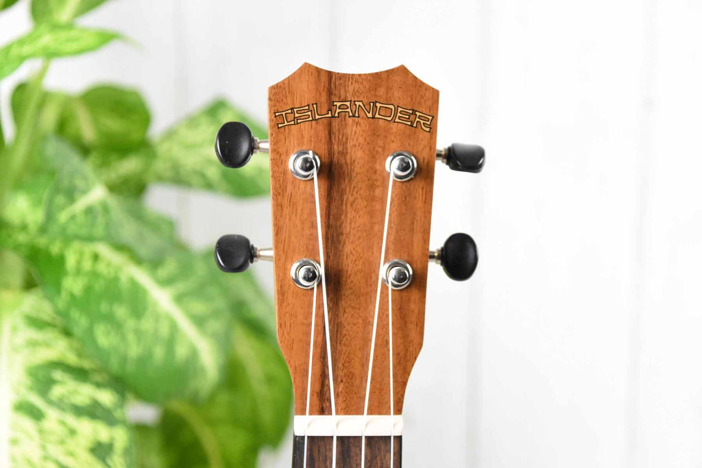 Islander SAC-4 Concert Ukulele Solid Acaica