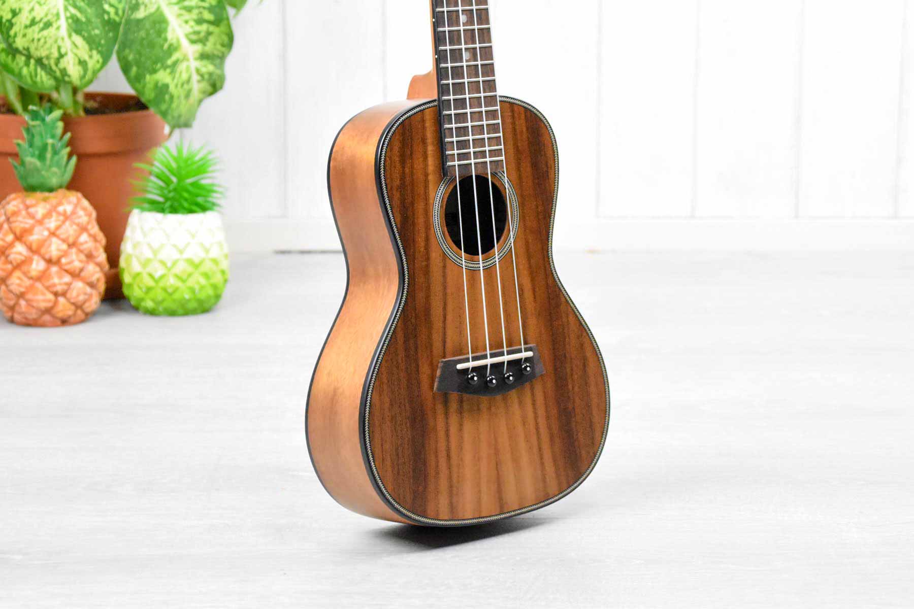 Islander SAC-4 Concert Ukulele Solid Acaica