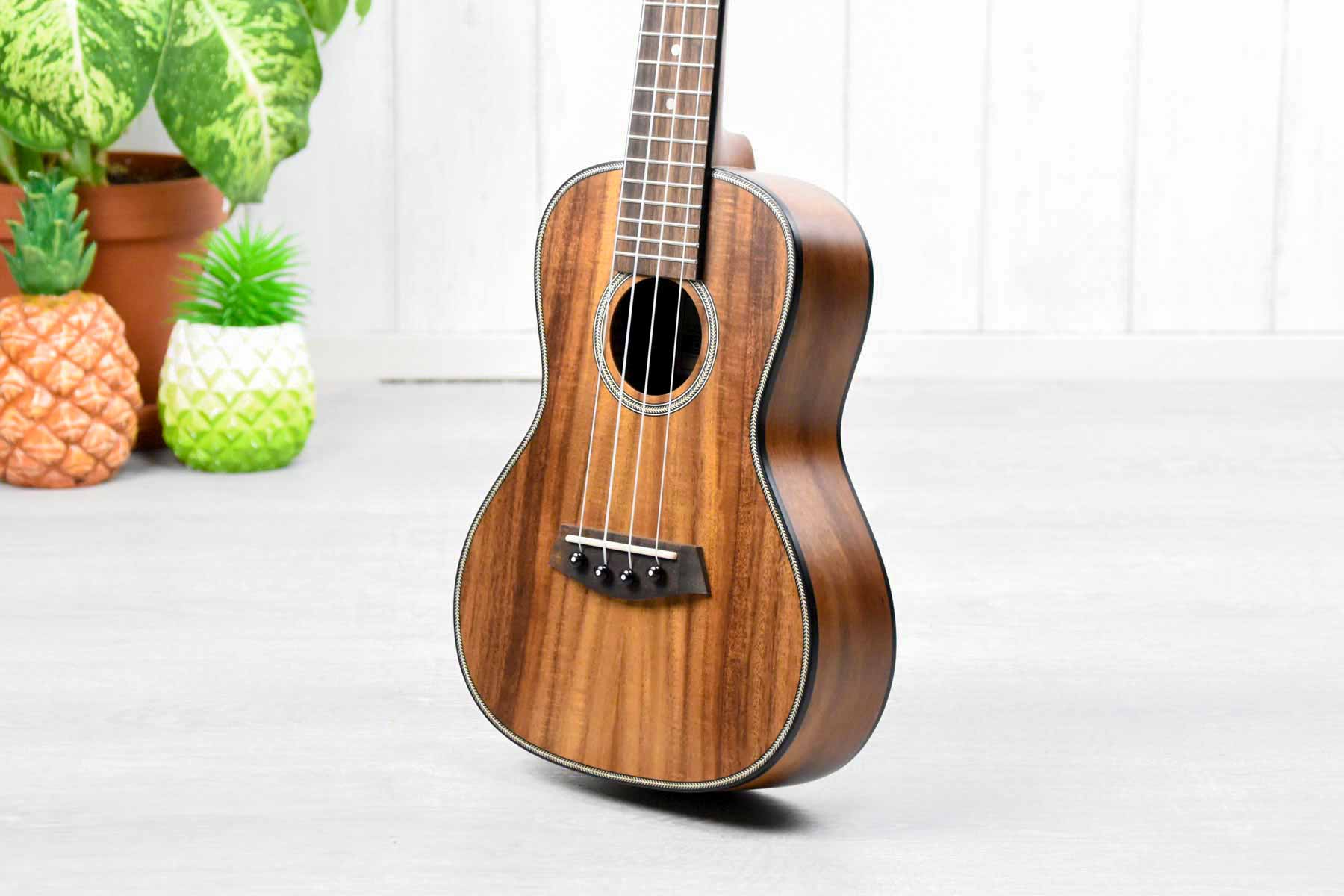 Islander SAC-4 Concert Ukulele Solid Acaica