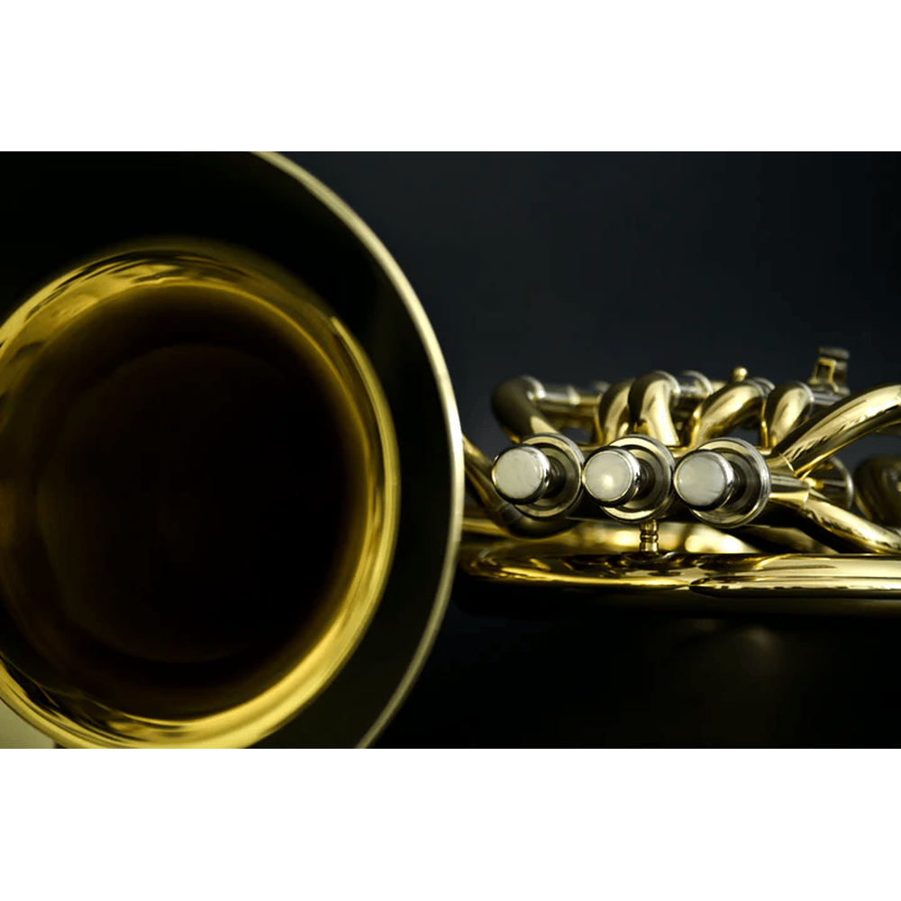 John Packer JP173MKII Bariton