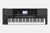 Korg PA300 Keyboard - 61 toetsen (5843265978532)