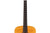 Lakewood D14 Akoestische Gitaar Occasion