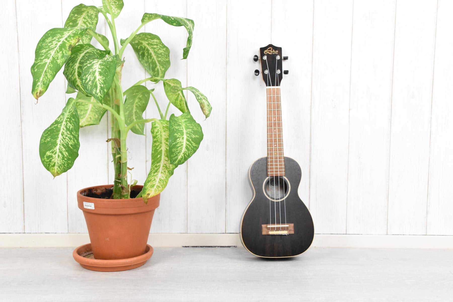 Leho LHUS-ZT Sopraan Ukulele