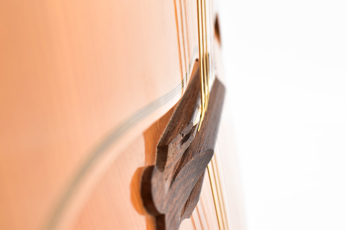 Goblet et Fils Artisans- Luthiers Modele Gelas Double Top Guitar Occasion