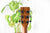 Martin 000-10E Road Serie - Akoestische gitaar