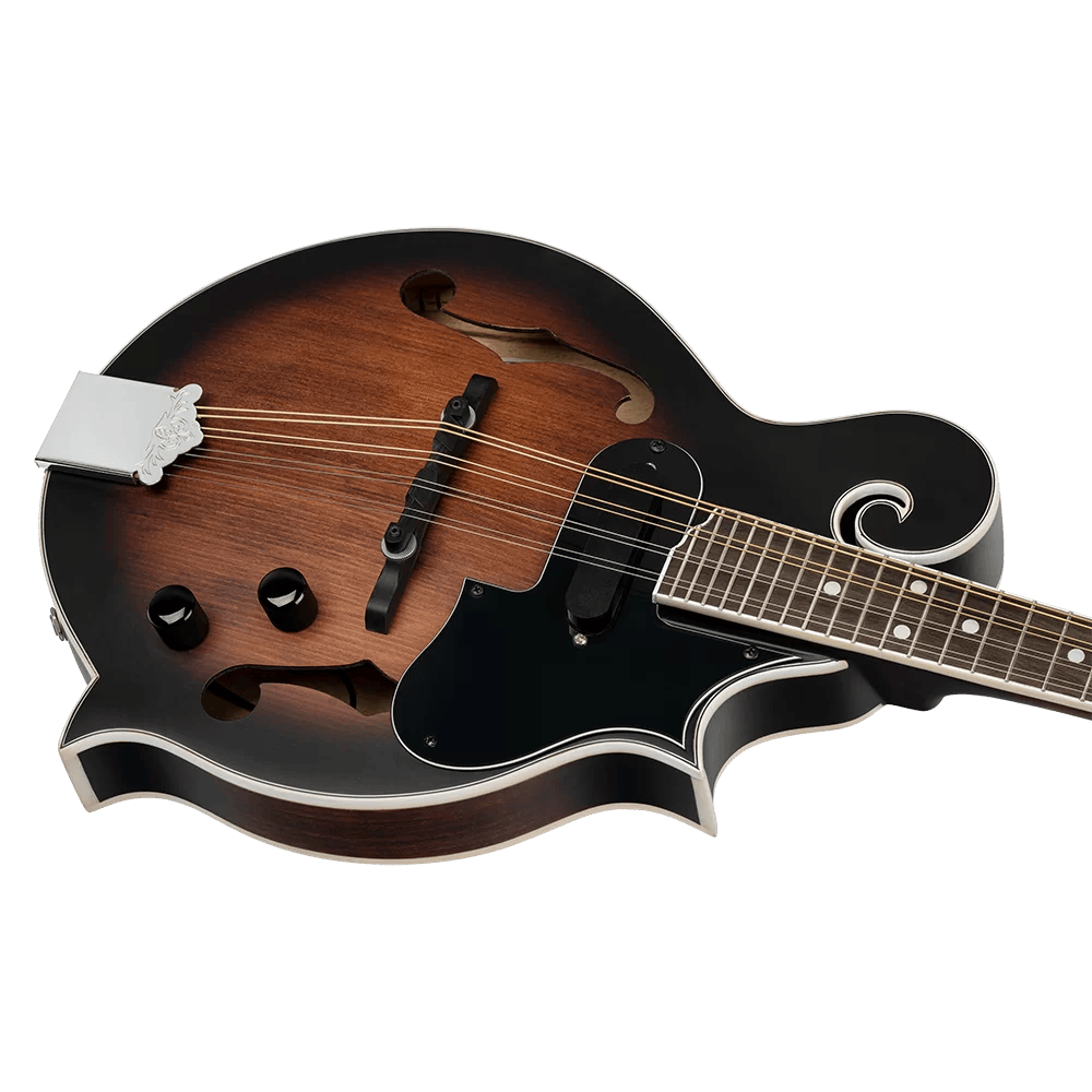 Ortega RMFE30-WB Mandoline Semi-Akoestisch