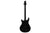 PRS 30th Anniversary S2 Custom 24  Elephant Gray 20th Anniversary