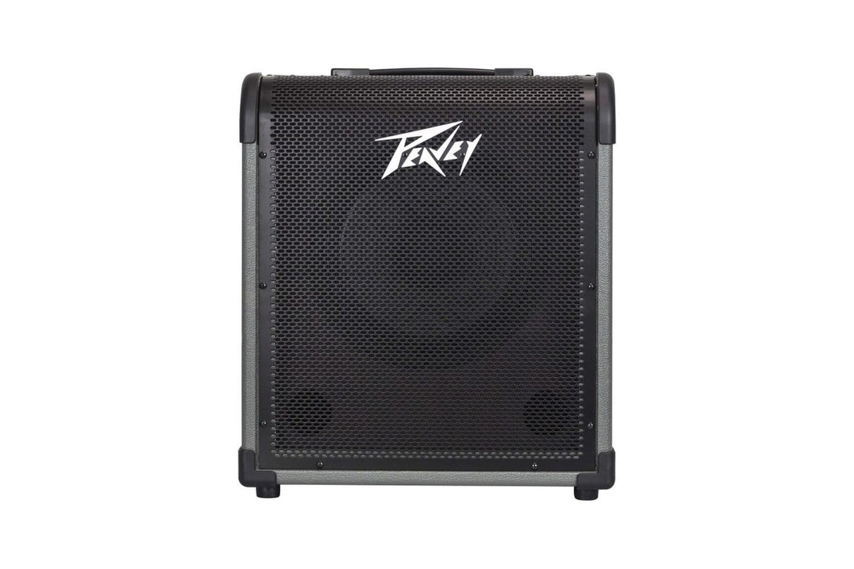Peavey MAX100