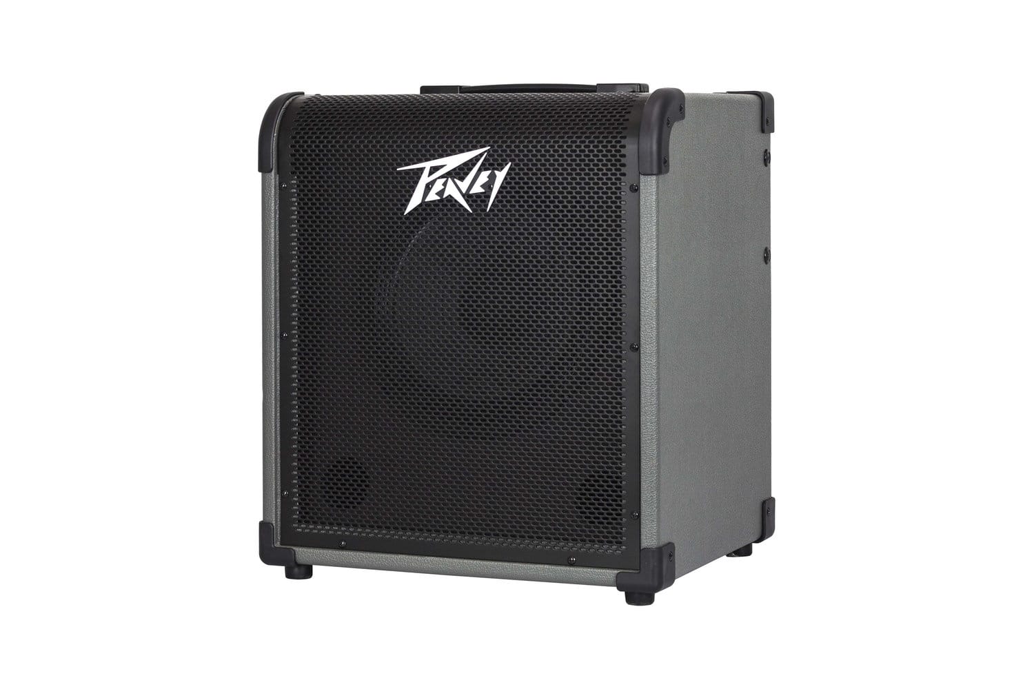 Peavey MAX100