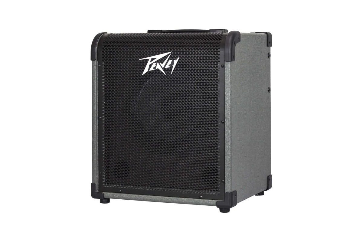 Peavey MAX100