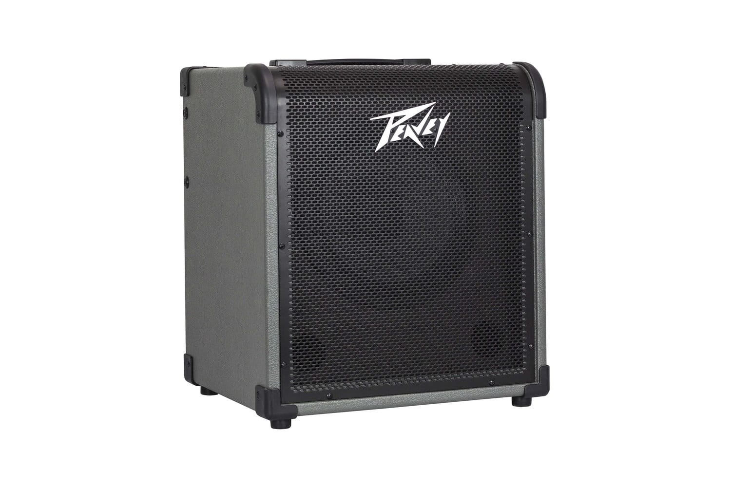 Peavey MAX100