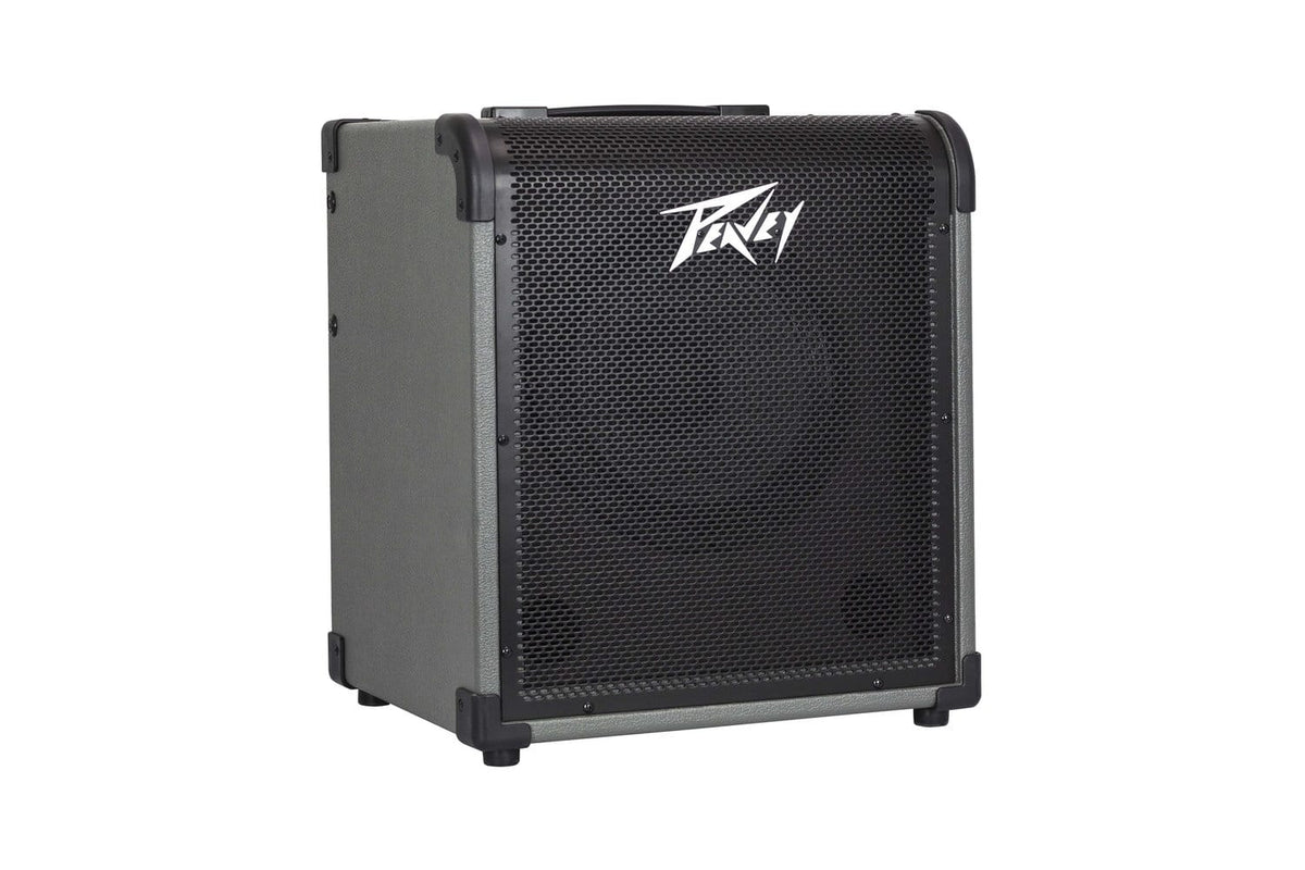 Peavey MAX100