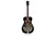 Recording King Maxwell Roundneck Resonator Gitaar