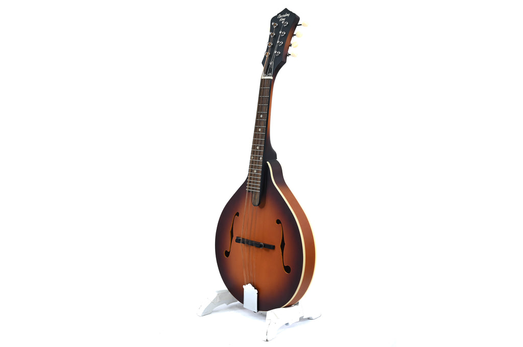 Recording King RAM-3-TS Mandolin
