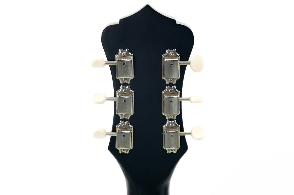 Recording King RPS-7-LEFTY-TS Linkshandig