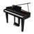 Roland GP-3PE Zwart Hoogglans