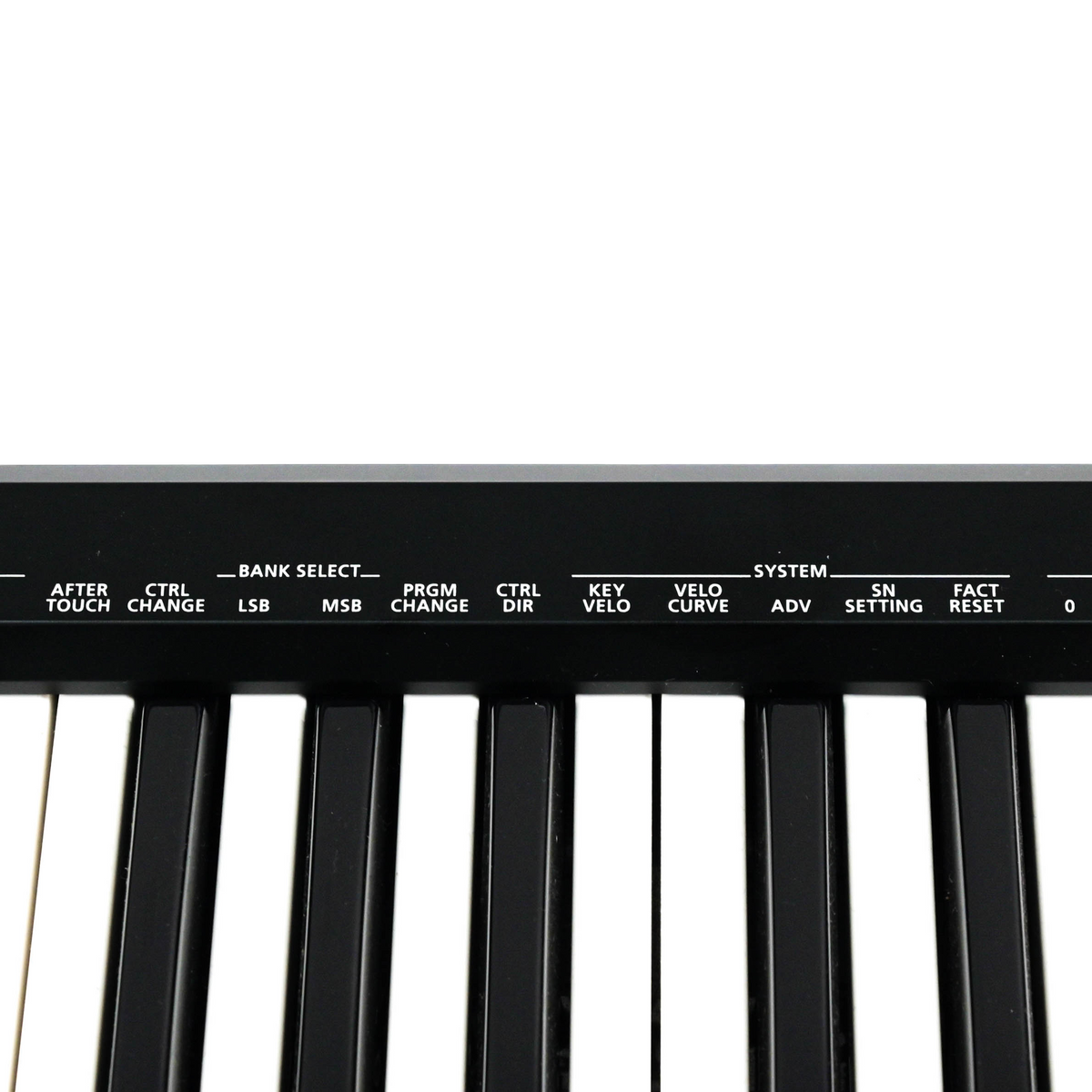 Roland A49 Midi klavier
