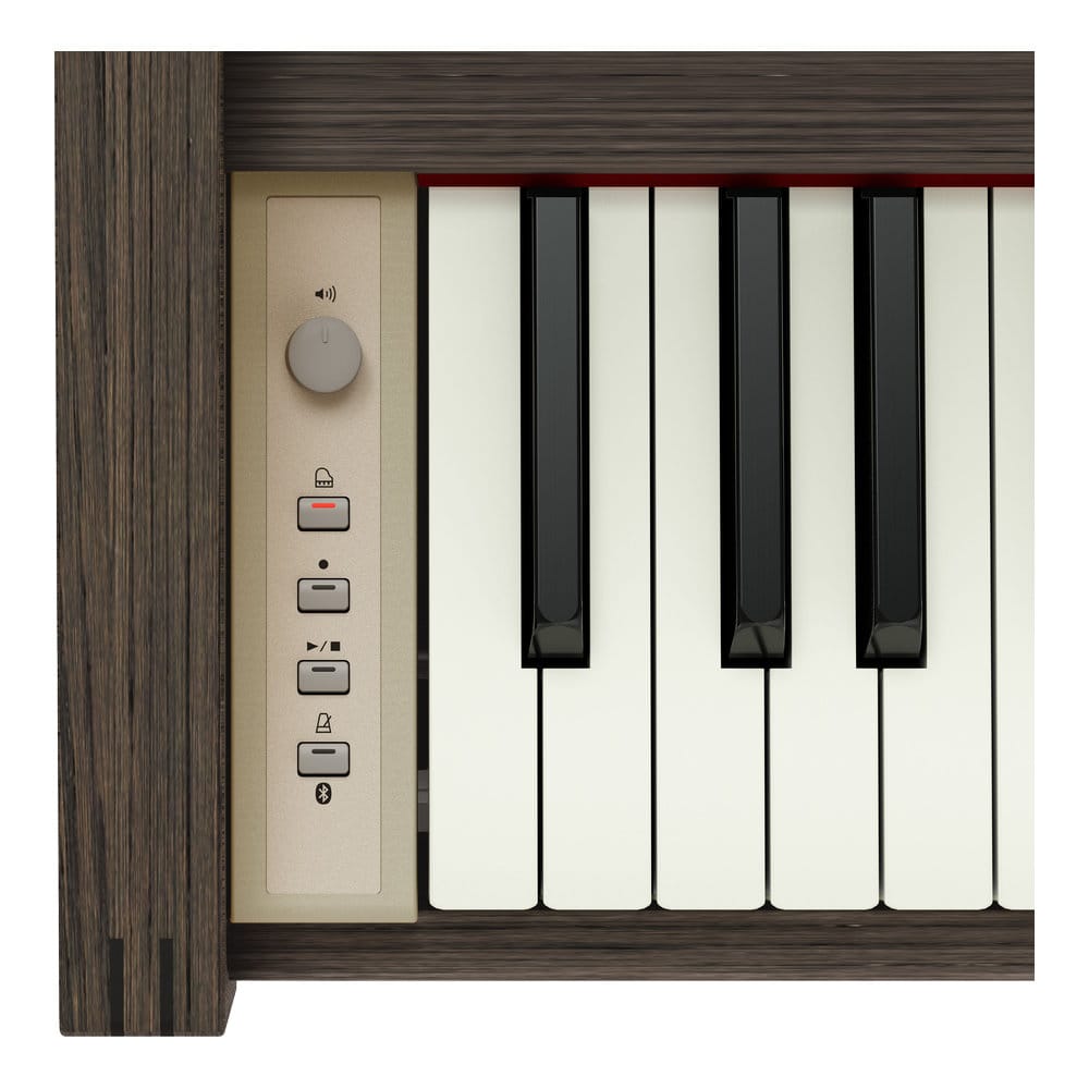 Roland KF-25 Kiyola Smoked Oak