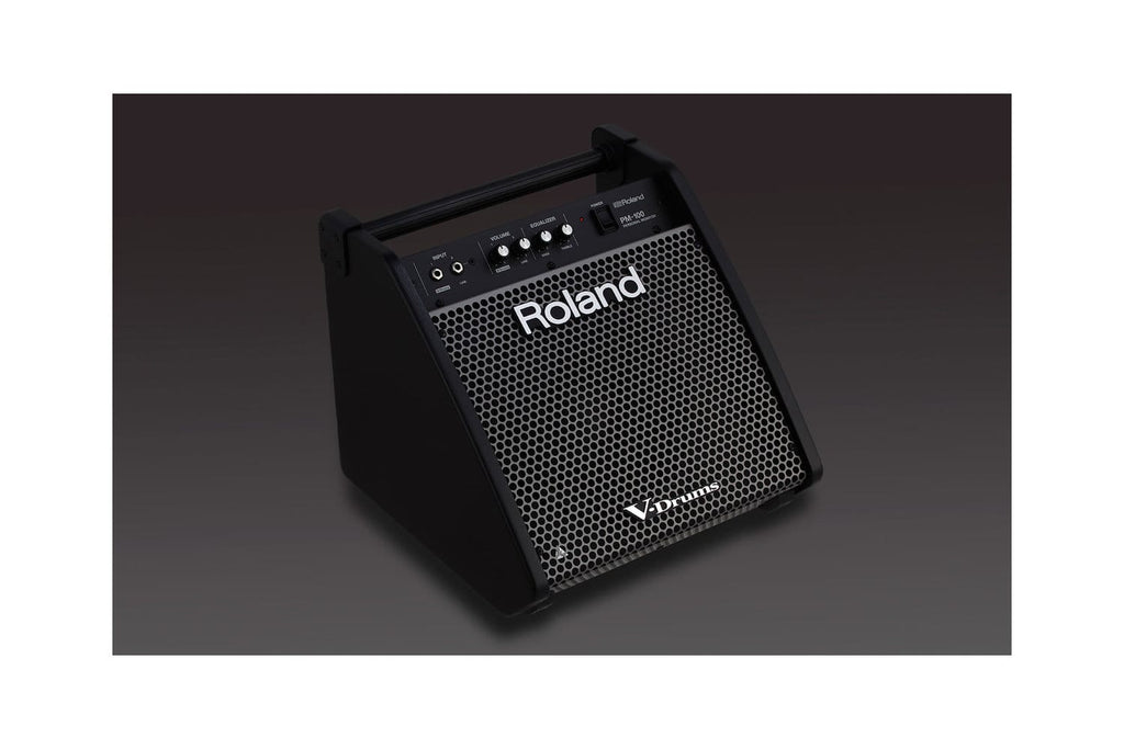 Roland PM-100 Personal Drum Monitor