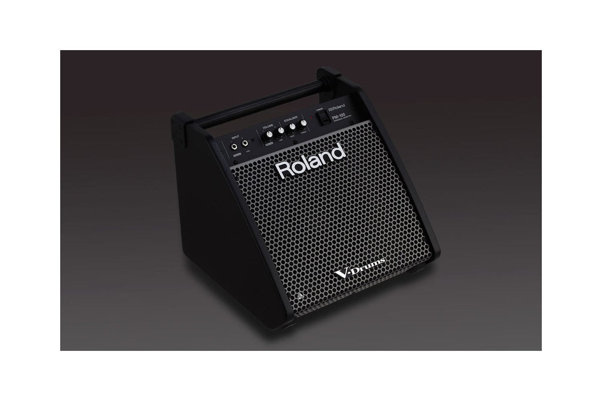 Roland PM-100 Personal Drum Monitor