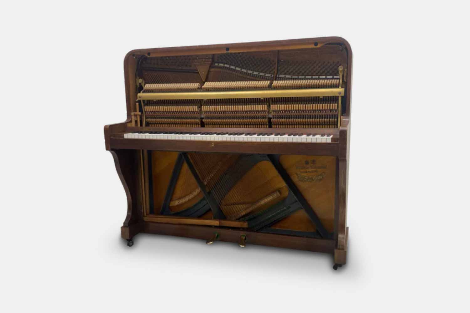 Musette Zwart 96bass